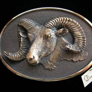 Rocky Mountain Bighorn Sheep