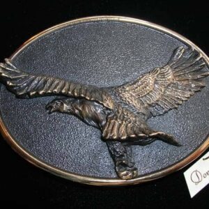 American Bald Eagle